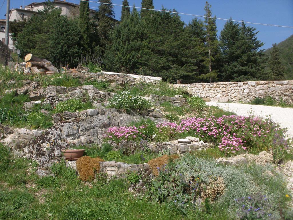Agriturismo Zafferano E Dintorni